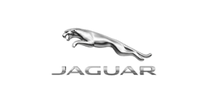 Jaguar car badge